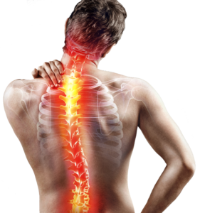 back pain body